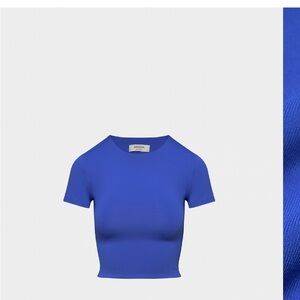 Aritzia Royal Blue Crop Top